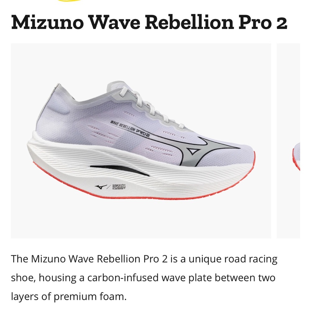 Men's Mizuno Wave Rebellion Pro 2, size 11, worn one time on treadmill.